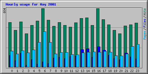Hourly usage for May 2001